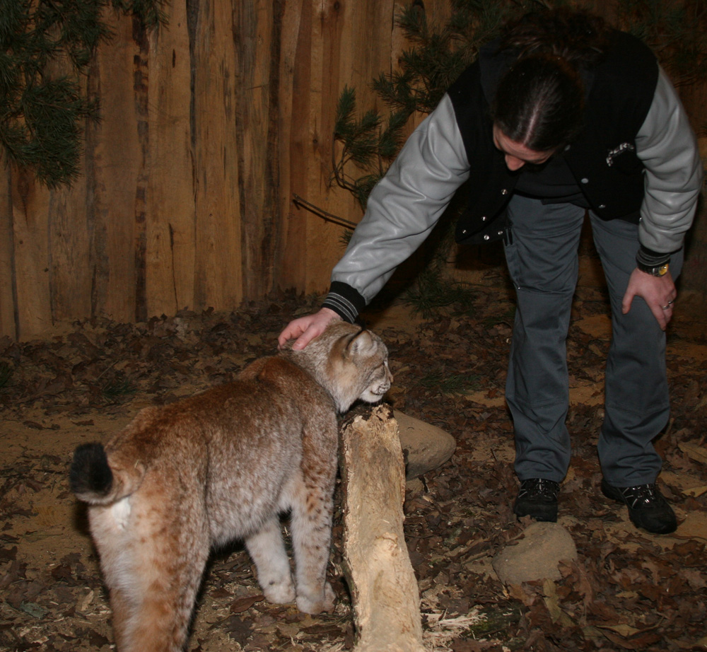 #4